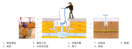 ȼ��������ֱ��ʽ��ʾ��ͼ