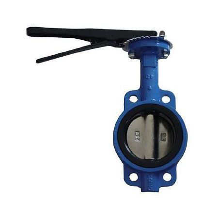 ���ߵ���